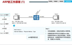 ARP是网络层命令吗？为何常被误认为数据链路层？