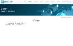 阿里云ecs 搭建网站