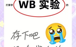 sp家园怎么进？