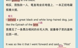 Jane英语24个单字怎么读？