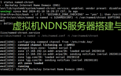 linux搭建dns服务器详细教程