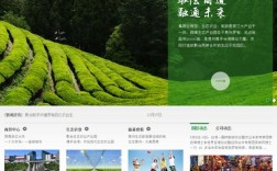 织梦网站环境搭建，织梦网站环境搭建需要哪些关键步骤？
