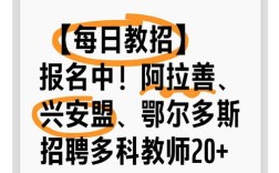 阿拉云招聘具体有哪些岗位和要求？