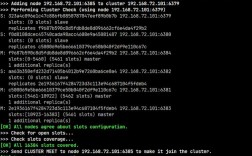 f5抓包命令具体该怎么操作？