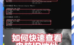 如何查看域名的IP地址?