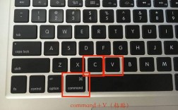 mac命令行复制命令是什么？