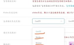 怎么样搭建网页