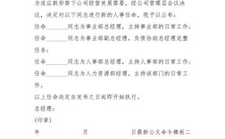 命令写作格式有哪些关键要点？