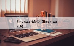linuxwait命令（linux wait0）