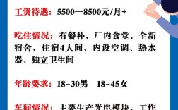 路路由招聘，路由招聘，具体岗位和要求是什么？