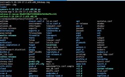 Linux下撤销命令有哪些？如何正确使用？