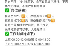 新高开源招聘，新高开源招聘什么岗位？