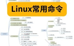 Linux常用命令举例有哪些实用技巧？
