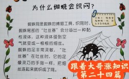 织梦如何查看蜘蛛访问记录？