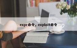 expr命令，exploit命令