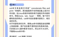 cat命令用法有哪些？