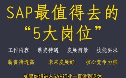 sap岗位招聘，SAP岗位招聘，薪资待遇如何？