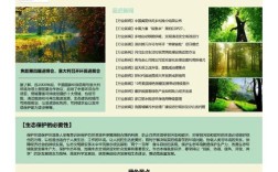 过多如何排版才清晰？