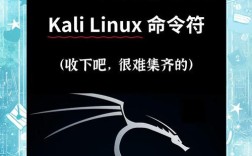 kali命令行有哪些实用必备命令？