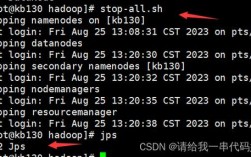 HDFS查看文件有哪些常用命令？