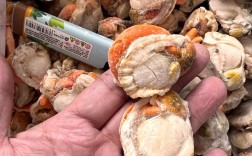 扇贝加工招聘，薪资待遇如何？