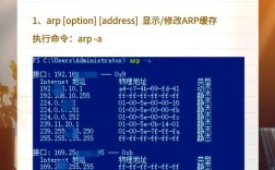 dos网络查看命令有哪些？