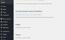 WordPress外贸网站如何突破流量瓶颈并实现高效转化？