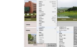 网页如何整体放大显示？