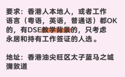 DSE教育招聘有何要求与机会？