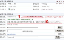 tk域名解析怎么设置？