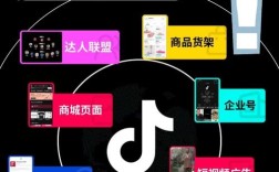 totok招聘什么岗位？要求如何？