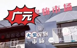 广元微商城搭建好，广元微商城搭建好，如何运营推广？
