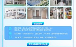 天津VB招聘，岗位详情与要求是什么？