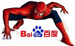 dede程序网站如何查看百度蜘蛛