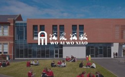 成都网站建设培训学校哪家强？