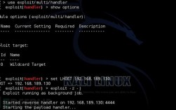 Kali查看版本命令有哪些？