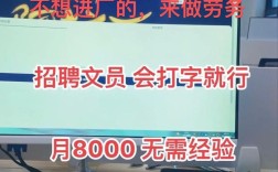 致力电脑招聘什么岗位？