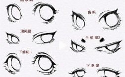 PS如何画眼睛瞳孔？教程资源哪里下载？