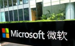 微软vendor招聘具体流程和要求是什么？