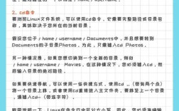 vfp创建表文件命令是