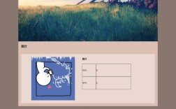 DW如何制作自己网站？新手必看步骤？