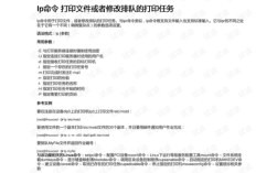 lp打印命令