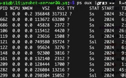 Linux查进程命令有哪些常用选项？