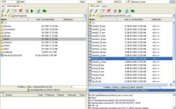 FTP命令行客户端如何高效使用?