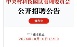 定位中关村招聘，定位中关村招聘，为何能吸引顶尖人才？