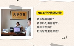 苗木网站建设如何高效引流获客？
