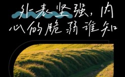 脆弱的心如何真正变强大？