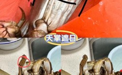 淘宝买大闸蟹怎么挑？看这几点避坑，教你选到鲜活肥美的大闸蟹！