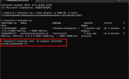 命令行如何正确启动nginx？