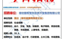 昆明lee招聘什么岗位？要求有哪些？